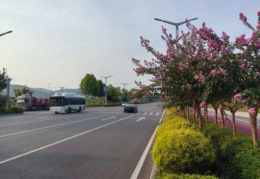 大足鲜花公路让游人一路生花
